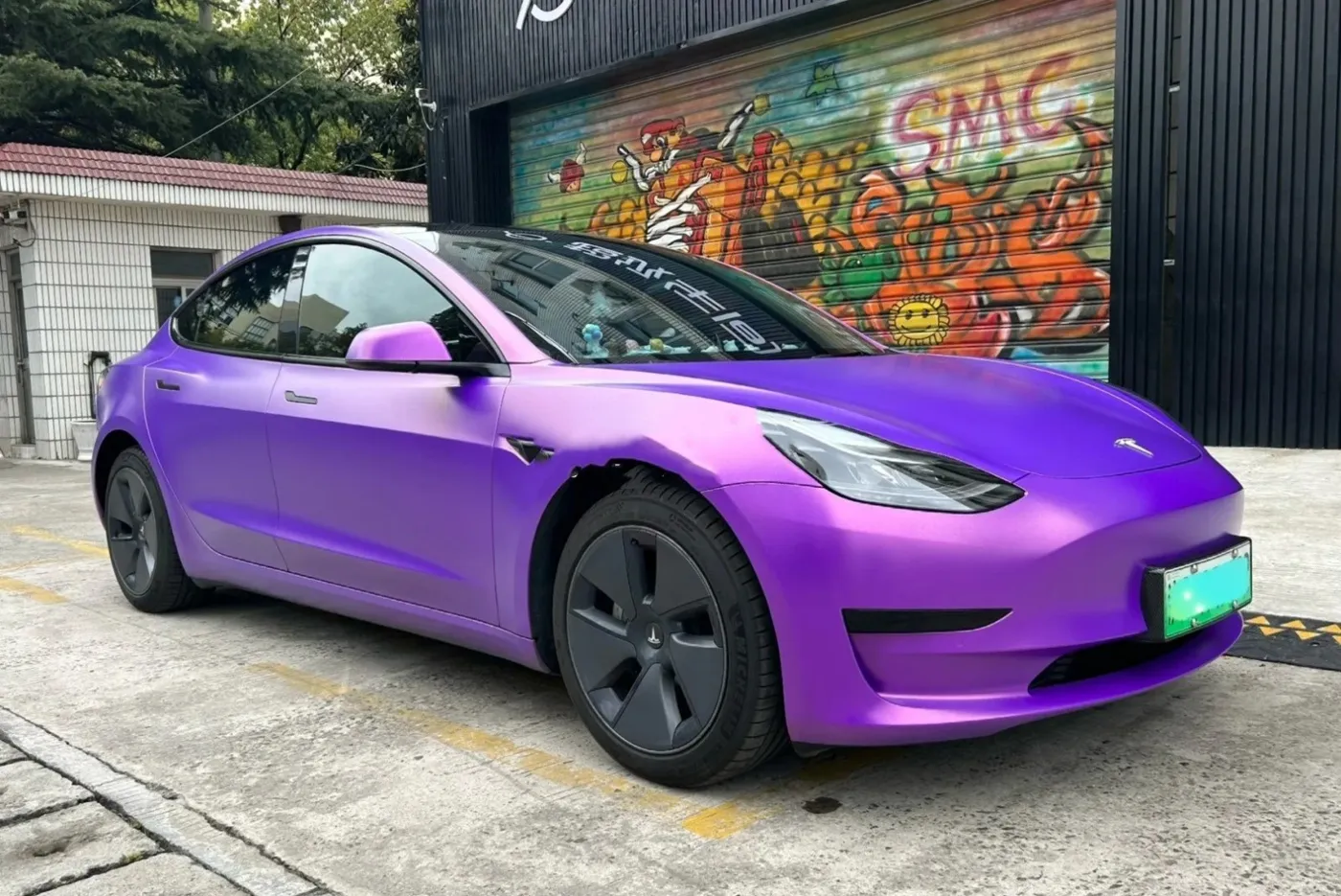 Matte Metallic Diamond Purple Gold Chameleon على سيارة